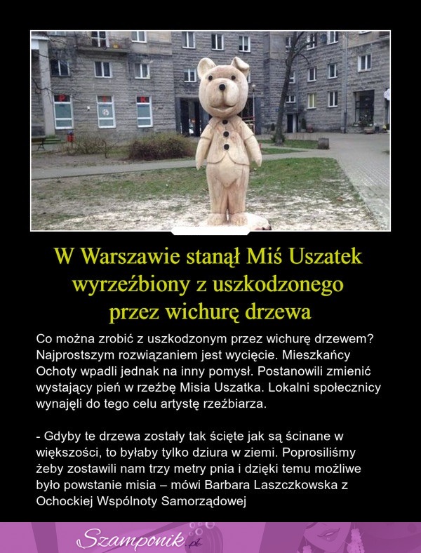 W Warszawie stanął Miś Uszatek wyrzeźbiony z uszkodzonego przez wichurę drzewa