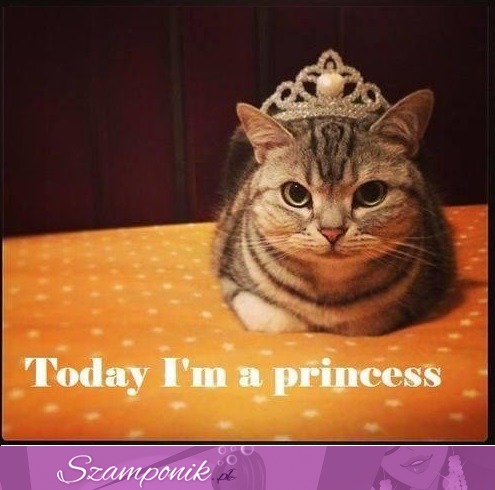 Jestem księżniczką