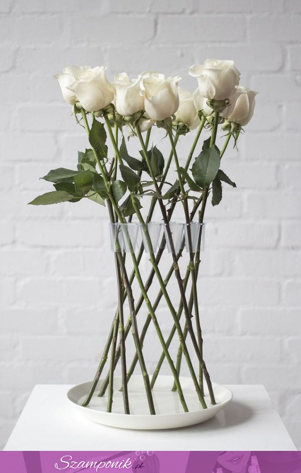 Białe róże, boski efekt