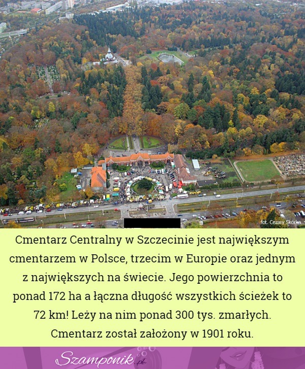 Taka ciekawostka o największym cmentarzu w Polsce ;)