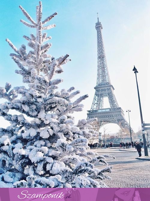 Paryż zimą- cudny widok