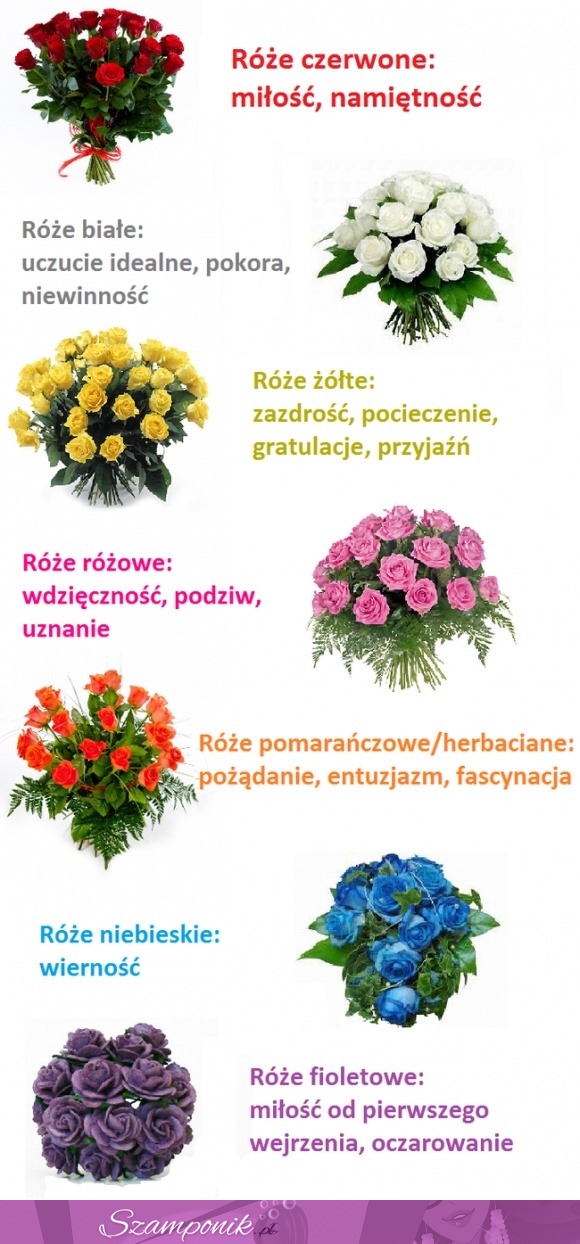 Ściągawka dla facetów - kolory kwiatów, co oznaczają! ;)