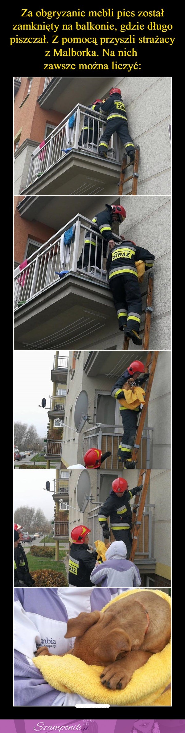 Za obgryzanie mebli pies został zamknięty na balkonie. Z pomocą przyszli strażacy! Na nich zawsze można liczyć!