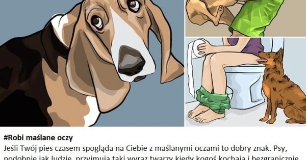 Гуляет С Собакой С Вибратором Порно