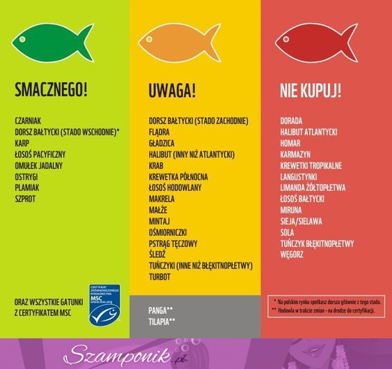 Ryby, które warto spożywać i te, których powinno się unikać