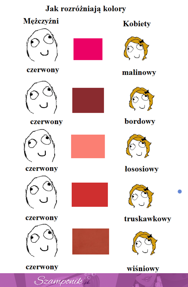 Jak rozróżniają kolory mężczyżni i kobiety, kilka przykładów. To prawda, haha! :D