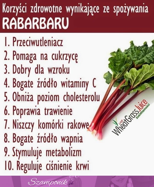 Korzyści zdrowotne wynikające ze spożywania RABARBARU